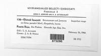Elsinoe fawcettii image